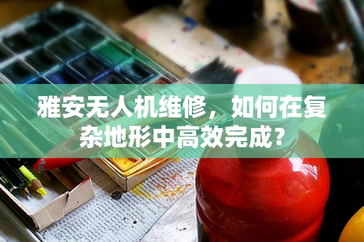 雅安无人机维修，如何在复杂地形中高效完成？