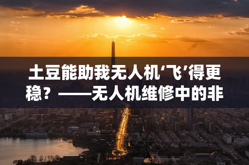 土豆能助我无人机‘飞’得更稳？——无人机维修中的非传统‘燃料’思考