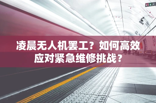 凌晨无人机罢工？如何高效应对紧急维修挑战？