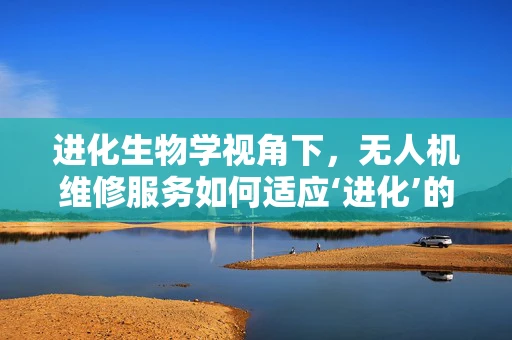 进化生物学视角下，无人机维修服务如何适应‘进化’的挑战？