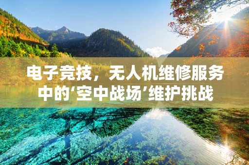 电子竞技，无人机维修服务中的‘空中战场’维护挑战