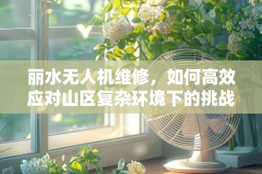 丽水无人机维修，如何高效应对山区复杂环境下的挑战？