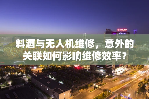 料酒与无人机维修，意外的关联如何影响维修效率？