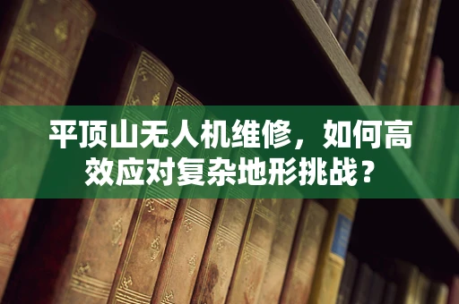 平顶山无人机维修，如何高效应对复杂地形挑战？