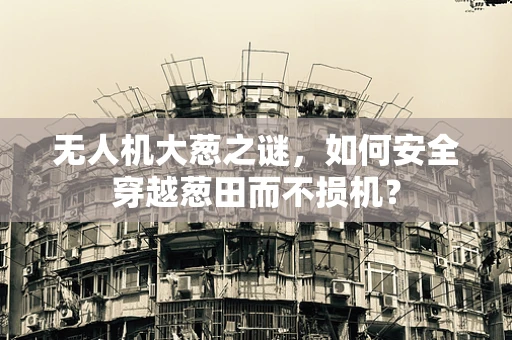 无人机大葱之谜，如何安全穿越葱田而不损机？