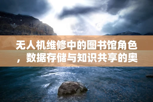 无人机维修中的图书馆角色，数据存储与知识共享的奥秘