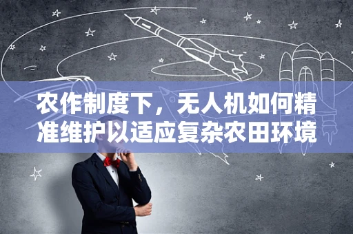 农作制度下，无人机如何精准维护以适应复杂农田环境？