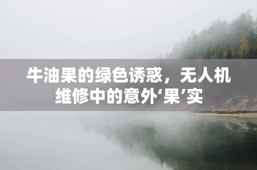 牛油果的绿色诱惑，无人机维修中的意外‘果’实