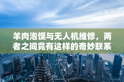 羊肉泡馍与无人机维修，两者之间竟有这样的奇妙联系？