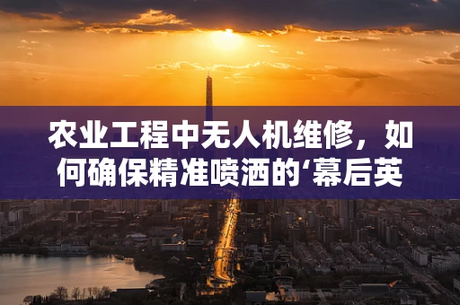 农业工程中无人机维修，如何确保精准喷洒的‘幕后英雄’？