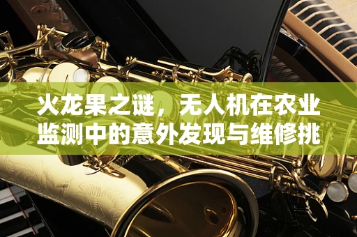 火龙果之谜，无人机在农业监测中的意外发现与维修挑战