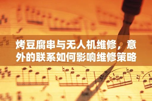 烤豆腐串与无人机维修，意外的联系如何影响维修策略？