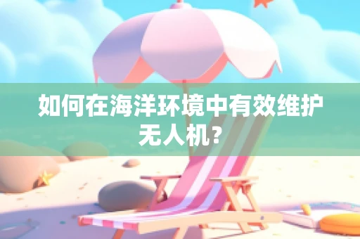 如何在海洋环境中有效维护无人机？