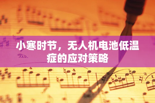 小寒时节，无人机电池低温症的应对策略
