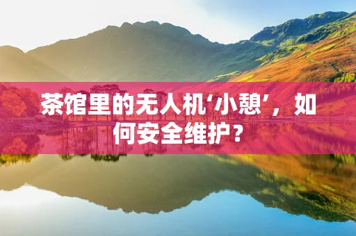 茶馆里的无人机‘小憩’，如何安全维护？