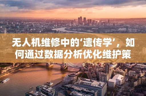 无人机维修中的‘遗传学’，如何通过数据分析优化维护策略？