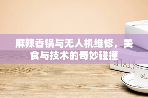 麻辣香锅与无人机维修，美食与技术的奇妙碰撞