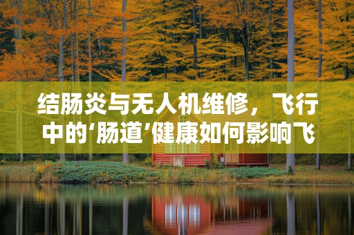 结肠炎与无人机维修，飞行中的‘肠道’健康如何影响飞行性能？