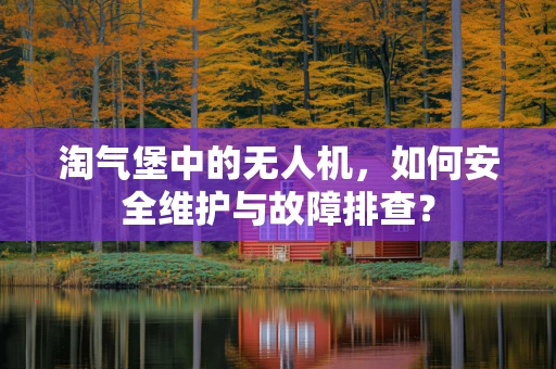 淘气堡中的无人机，如何安全维护与故障排查？