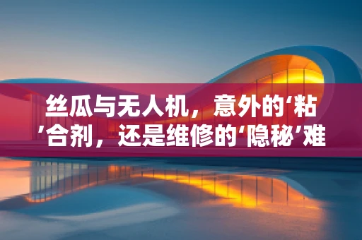 丝瓜与无人机，意外的‘粘’合剂，还是维修的‘隐秘’难题？