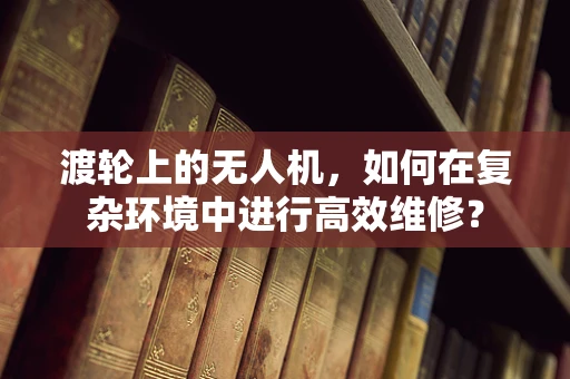 渡轮上的无人机，如何在复杂环境中进行高效维修？