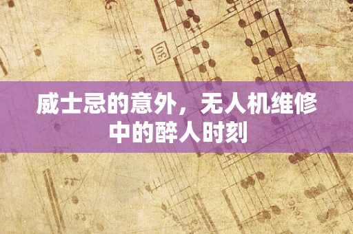 威士忌的意外，无人机维修中的醉人时刻