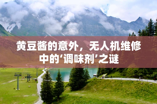 黄豆酱的意外，无人机维修中的‘调味剂’之谜