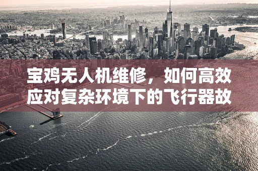 宝鸡无人机维修，如何高效应对复杂环境下的飞行器故障？