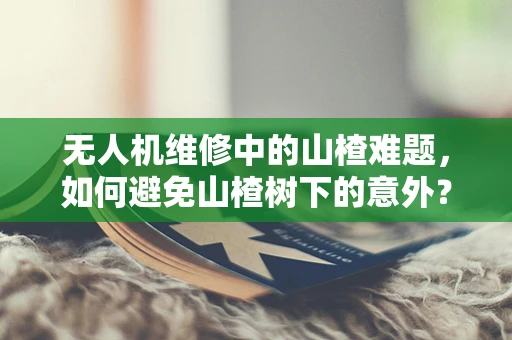 无人机维修中的山楂难题，如何避免山楂树下的意外？