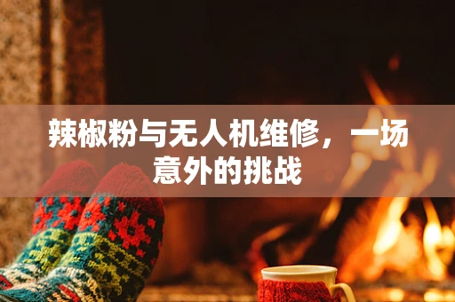 辣椒粉与无人机维修，一场意外的挑战