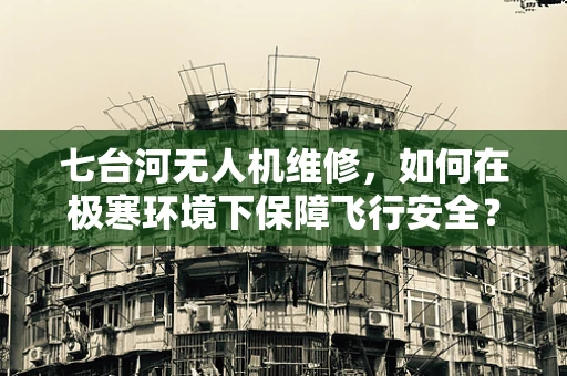 七台河无人机维修，如何在极寒环境下保障飞行安全？