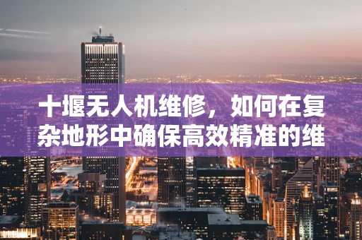 十堰无人机维修，如何在复杂地形中确保高效精准的维修服务？
