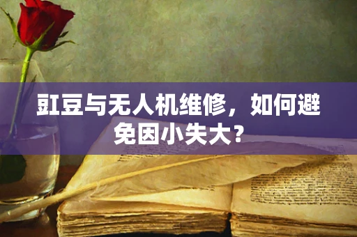 豇豆与无人机维修，如何避免因小失大？