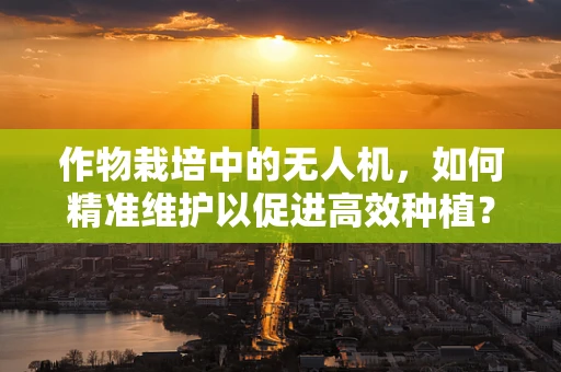 作物栽培中的无人机，如何精准维护以促进高效种植？
