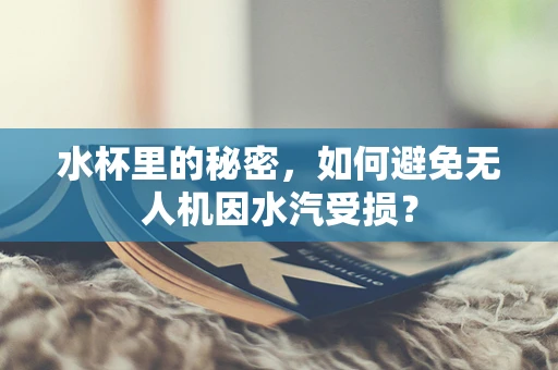 水杯里的秘密，如何避免无人机因水汽受损？