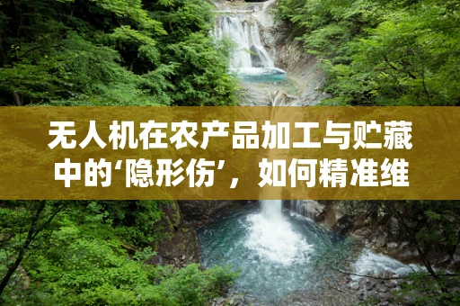 无人机在农产品加工与贮藏中的‘隐形伤’，如何精准维修？