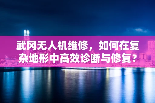 武冈无人机维修，如何在复杂地形中高效诊断与修复？