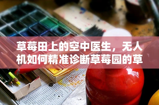 草莓田上的空中医生，无人机如何精准诊断草莓园的草莓病？