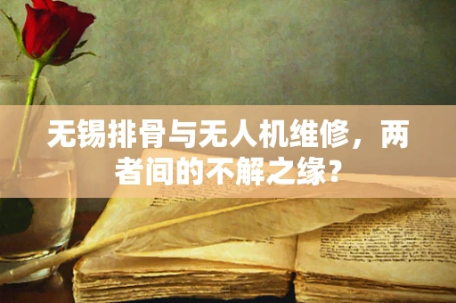 无锡排骨与无人机维修，两者间的不解之缘？