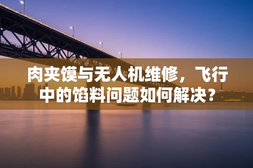 肉夹馍与无人机维修，飞行中的馅料问题如何解决？
