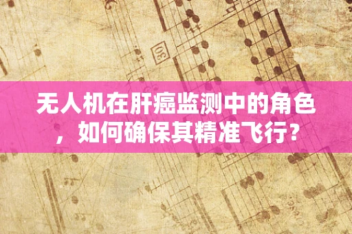 无人机在肝癌监测中的角色，如何确保其精准飞行？