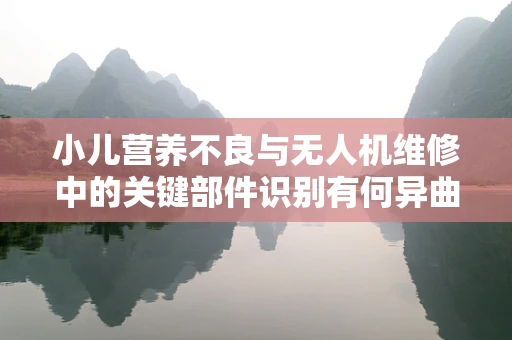 小儿营养不良与无人机维修中的关键部件识别有何异曲同工之处？