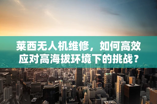莱西无人机维修，如何高效应对高海拔环境下的挑战？