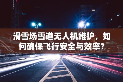 滑雪场雪道无人机维护，如何确保飞行安全与效率？