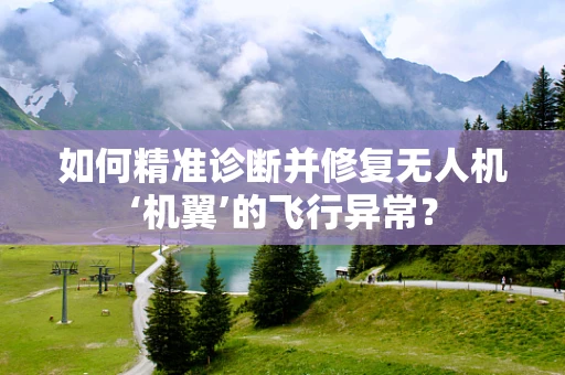 如何精准诊断并修复无人机‘机翼’的飞行异常？