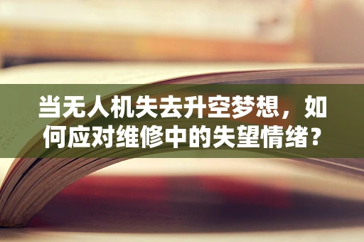当无人机失去升空梦想，如何应对维修中的失望情绪？
