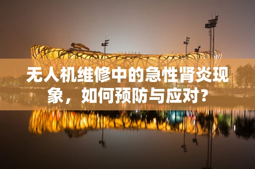 无人机维修中的急性肾炎现象，如何预防与应对？