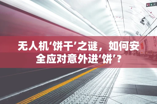 无人机‘饼干’之谜，如何安全应对意外进‘饼’？