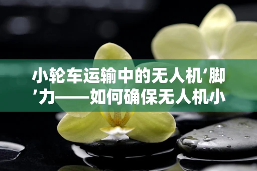 小轮车运输中的无人机‘脚’力——如何确保无人机小轮车架的稳固与耐用？