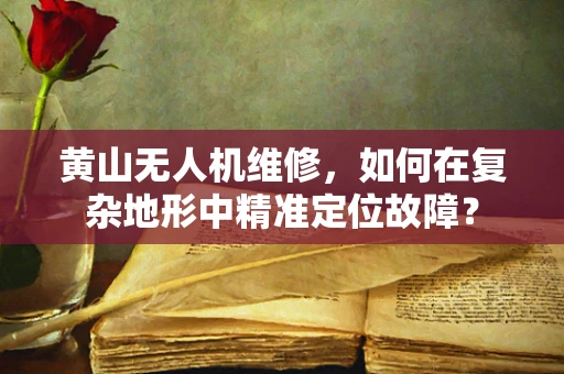 黄山无人机维修，如何在复杂地形中精准定位故障？